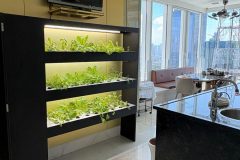 7269ba0b-4cca-4541-a990-1730b2e56330-scaled