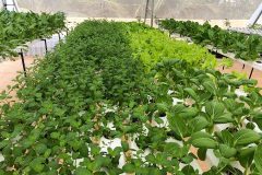 {"total_effects_actions":0,"total_draw_time":0,"layers_used":0,"effects_tried":0,"total_draw_actions":0,"total_editor_actions":{"border":1,"frame":0,"mask":0,"lensflare":0,"clipart":0,"text":0,"square_fit":0,"shape_mask":0,"callout":0},"effects_applied":0,"uid":"D0C3159F-5DD6-4E7C-9C62-56EADDCFBD59_1641470596951","width":1024,"photos_added":0,"total_effects_time":0,"tools_used":{"tilt_shift":0,"resize":0,"adjust":0,"curves":0,"motion":0,"perspective":0,"clone":0,"crop":0,"enhance":0,"selection":0,"free_crop":0,"flip_rotate":0,"shape_crop":0,"stretch":0},"source_sid":"D0C3159F-5DD6-4E7C-9C62-56EADDCFBD59_1641470596989","origin":"gallery","height":777,"subsource":"done_button","total_editor_time":69,"brushes_used":0}