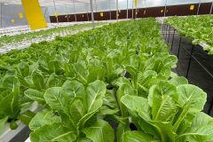 WhatsApp-Image-2022-06-13-at-11.04.04-AM