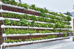 WhatsApp-Image-2026-01-14-at-3.42.00-PM-1