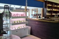 WhatsApp-Image-2026-01-14-at-3.42.01-PM-1