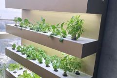 WhatsApp-Image-2026-01-14-at-3.42.01-PM-2