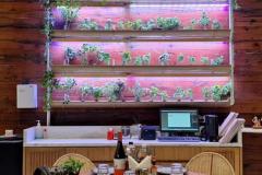 WhatsApp-Image-2026-01-14-at-3.42.01-PM