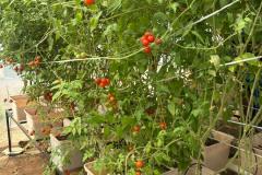 WhatsApp-Image-2026-01-14-at-3.42.02-PM-2