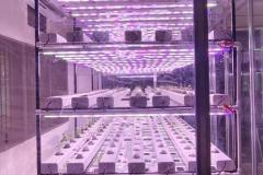 WhatsApp-Image-2026-01-14-at-3.42.02-PM