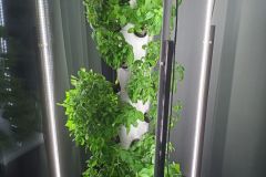 WhatsApp-Image-2026-01-14-at-3.42.04-PM