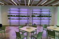 WhatsApp-Image-2026-01-15-at-12.04.57-PM