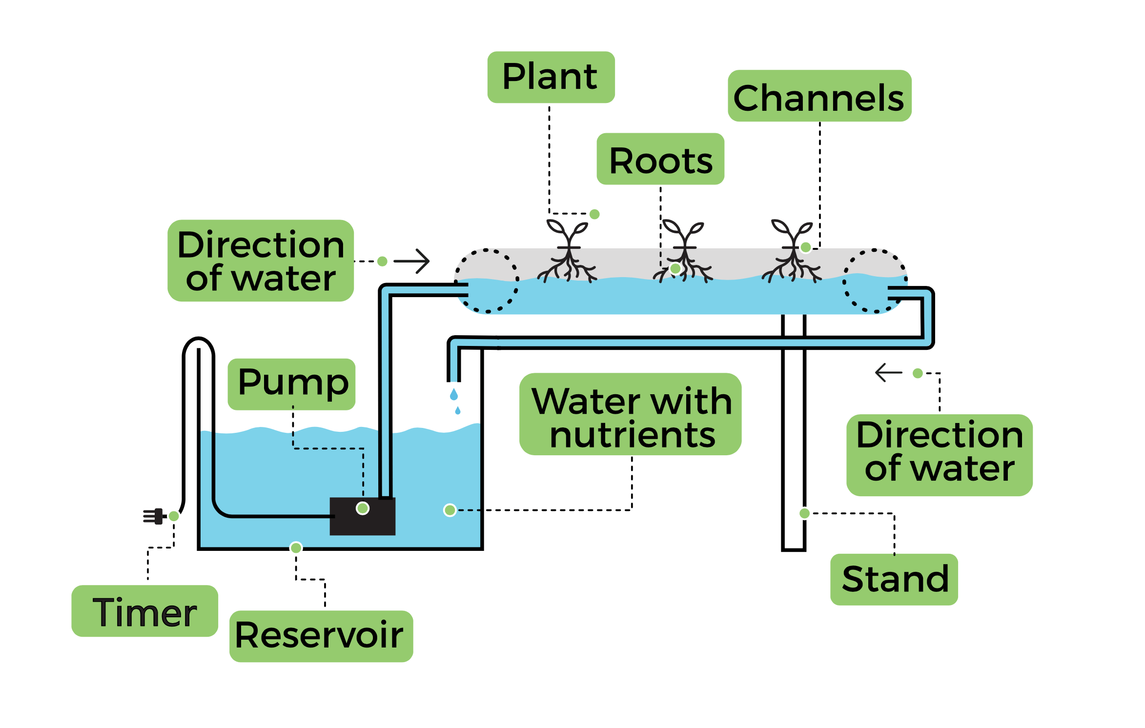 how hydroponic systems work
