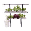 2 step system for hydroponic plants
