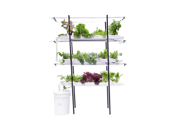 3 tier hydroponic indoor grower