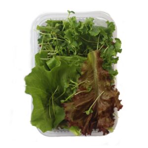 Salad Mix – Weekly 2 Box (100gm Each)