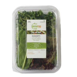 Salad Mix – Weekly 1 Box (100gm)