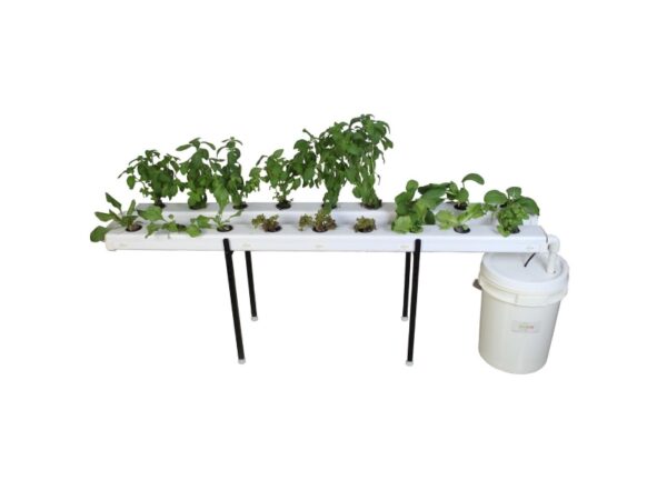 hydroponic small planters