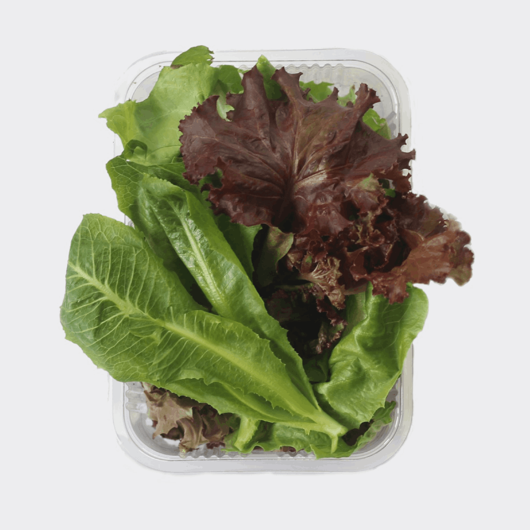Mix Salad Greens